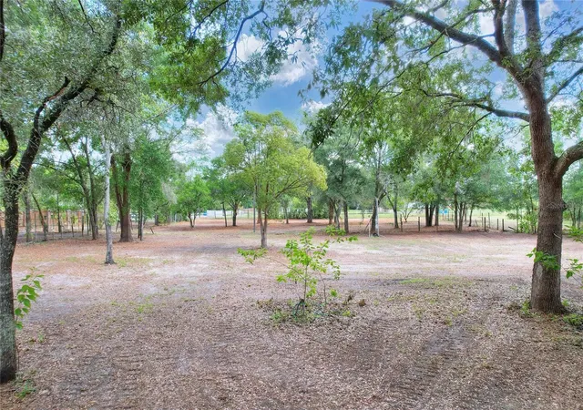 Photo 1 of Land for sale at 11000 Kitten Trl, Hudson, FL 34669 | MLS# TB8524295 | Listing updated on 2026-09-23