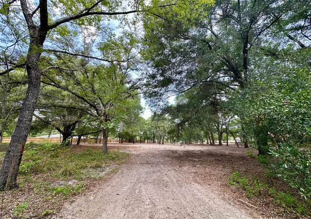 Photo 2 of Land for sale at 11000 Kitten Trl, Hudson, FL 34669 | MLS# TB8524295 | Listing updated on 2026-09-23
