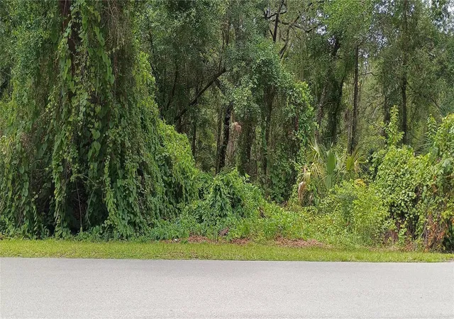 Homes for sale in De Leon Springs, FL | 1876 Blackwelder Rd, De Leon Springs, FL 32130 | MLS# O6420835