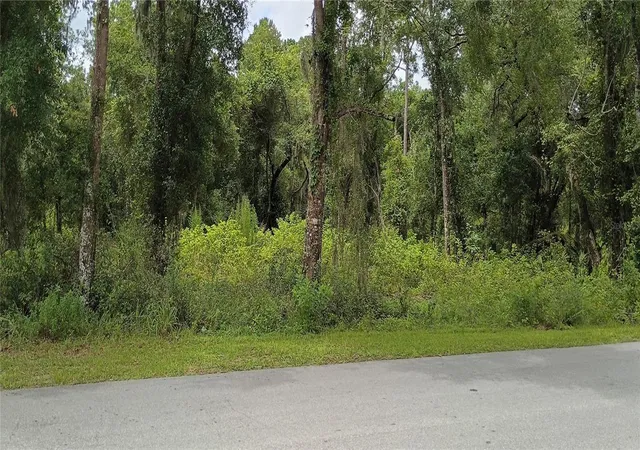 Photo 3 of Land for sale at 1876 Blackwelder Rd, De Leon Springs, FL 32130 | MLS# O6420835 | Listing updated on 2026-07-07