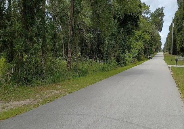 Homes for sale in De Leon Springs, FL | 1876 Blackwelder Rd, De Leon Springs, FL 32130 | MLS# O6420835