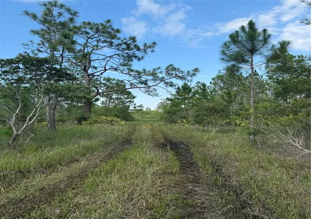 Photo 2 of Land for sale at Holopaw Groves Rd #LOT 125 & 126, Saint Cloud, FL 34773 | MLS# S5152699 | Listing updated on 2026-07-31