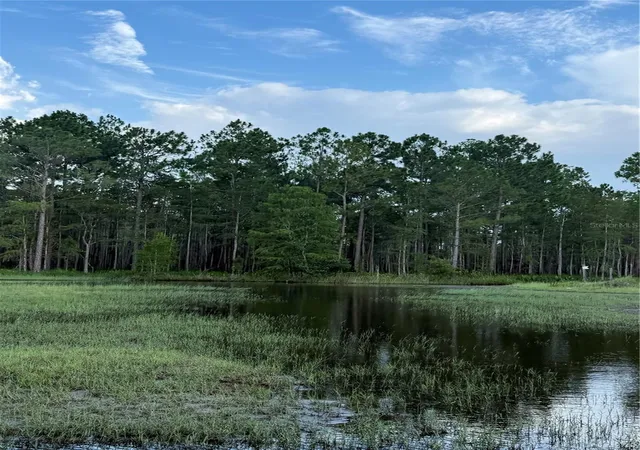 Photo 4 of Land for sale at Holopaw Groves Rd #LOT 125 & 126, Saint Cloud, FL 34773 | MLS# S5152699 | Listing updated on 2026-07-31