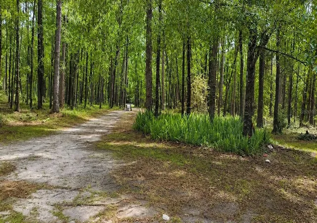 2nd image of 18864 N Hwy 329, Micanopy, FL 32667 | MLS# W7887177