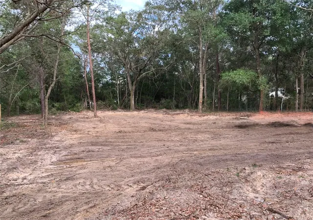 Photo 3 of Land for sale at 132 SW 52nd Avenue, Interlachen, FL 32148 | MLS# FC319596 | Listing updated on 2026-06-30