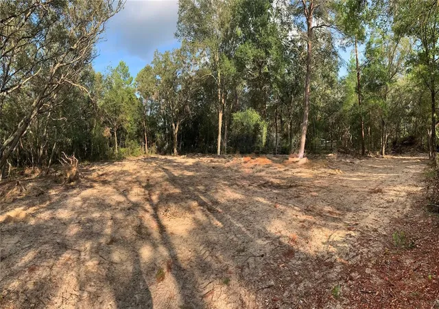 Photo 4 of Land for sale at 132 SW 52nd Avenue, Interlachen, FL 32148 | MLS# FC319596 | Listing updated on 2026-06-30