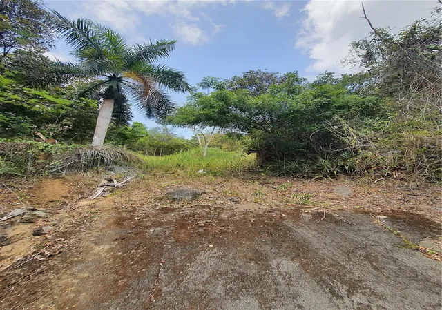 Homes for sale in Carolina, PR | Pr-853 Interior Cacao Ward #LOT 7, Carolina, PR 00987 | MLS# PR9122406