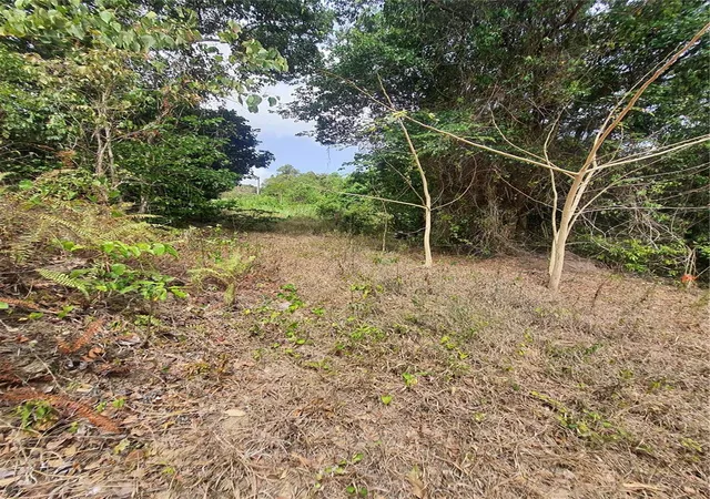 Photo 2 of Land for sale at Pr-853 Interior Cacao Ward #LOT 7, Carolina, PR 00987 | MLS# PR9122406 | Listing updated on 2026-10-23