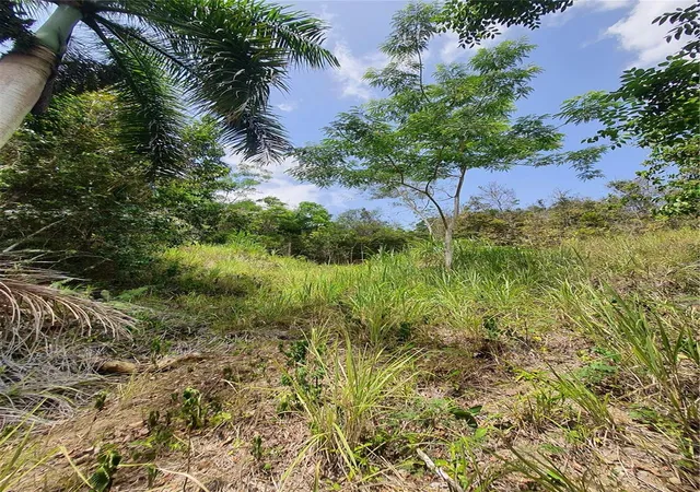 Homes for sale in Carolina, PR | Pr-853 Interior Cacao Ward #LOT 7, Carolina, PR 00987 | MLS# PR9122406