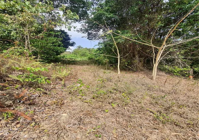 Photo 3 of Land for sale at Pr-853 Interior Cacao Ward #LOT 7, Carolina, PR 00987 | MLS# PR9122406 | Listing updated on 2026-10-23