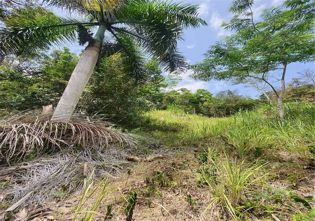 Homes for sale in Carolina, PR | Pr-853 Interior Cacao Ward #LOT 7, Carolina, PR 00987 | MLS# PR9122406