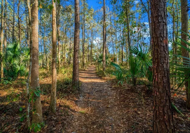91st image of 2850 Ne 103rd Ter, Silver Springs, FL 34488 | MLS# OM727586