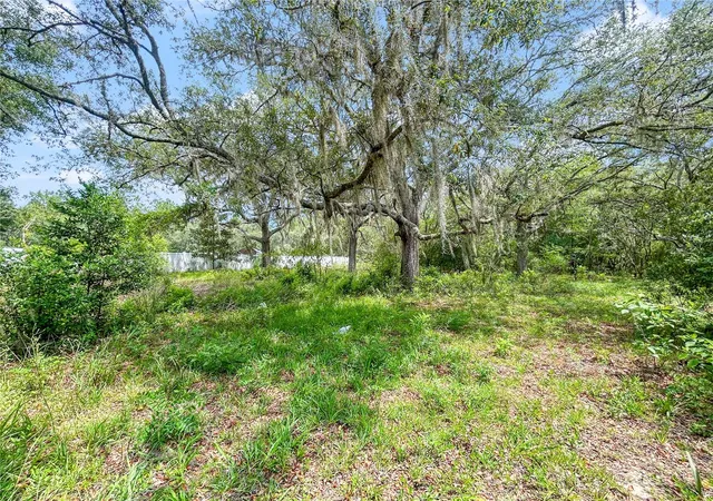 Homes for sale in Dunnellon, FL | 23162 Sw Neptune Blvd, Dunnellon, FL 34431 | MLS# TB8524362