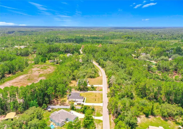 64th image of 41334 Persimmon St, Eustis, FL 32736 | MLS# O6420889