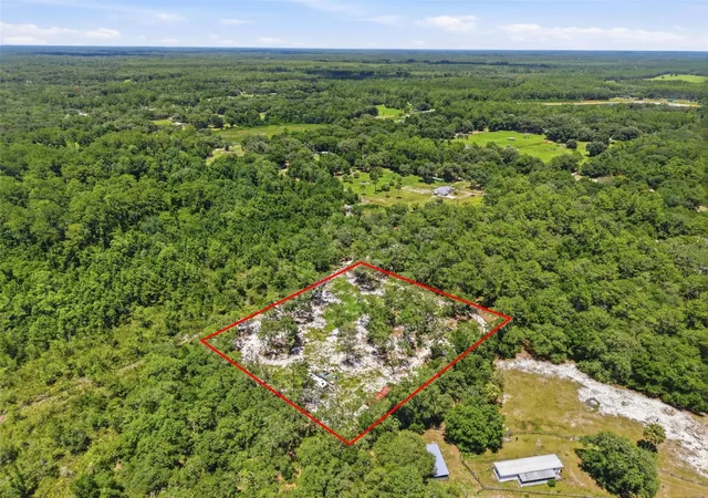 4th image of 6900 Ne 195Th St, Citra, FL 32113 | MLS# O6420971