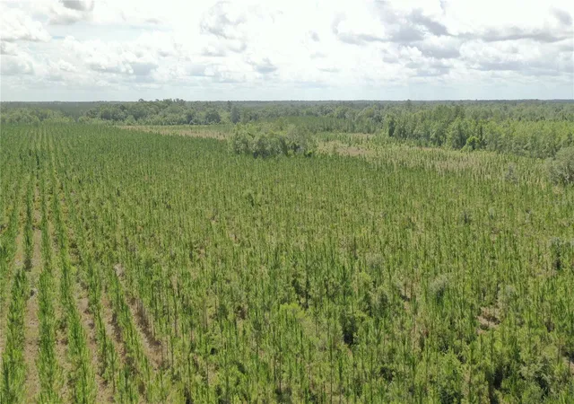 3rd image of Us Hwy 441 N, Lake City, FL 32055 | MLS# TB8524501