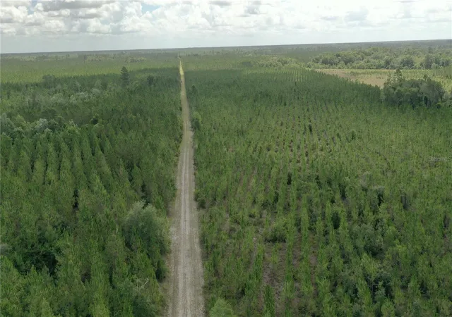 4th image of Us Hwy 441 N, Lake City, FL 32055 | MLS# TB8524501