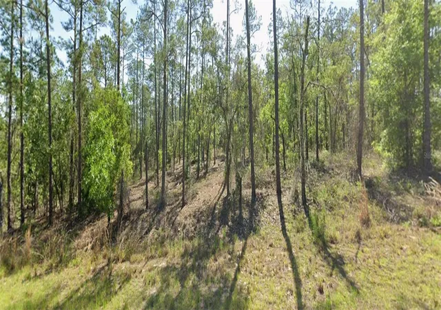 Photo 3 of Land for sale at 00 Sw Zinnia Ct, Dunnellon, FL 34431 | MLS# OM727621 | Listing updated on 2026-08-21