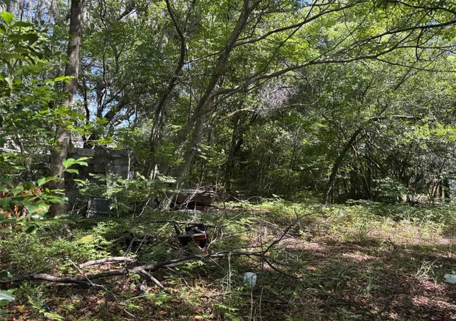 Homes for sale in New Port Richey, FL | 12506 Walton Ave, New Port Richey, FL 34654 | MLS# W7887197