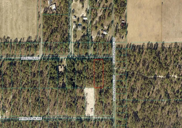 Photo 1 of Land for sale at 00 Nw Falcon Ave, Dunnellon, FL 34431 | MLS# OM727622 | Listing updated on 2026-08-21