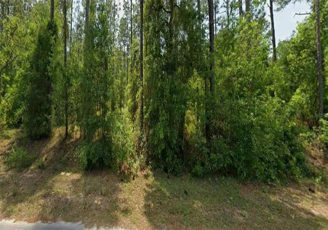 Photo 2 of Land for sale at 00 Nw Falcon Ave, Dunnellon, FL 34431 | MLS# OM727622 | Listing updated on 2026-08-21