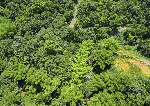 Photo 1 of Land for sale at Carretera 124 Km 13 Bo Buena Vista, Las Marias, PR 00670 | MLS# PR9122421 | Listing updated on 2026-06-30