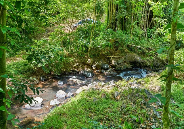 Photo 20 of Land for sale at Carretera 124 Km 13 Bo Buena Vista, Las Marias, PR 00670 | MLS# PR9122421 | Listing updated on 2026-06-30