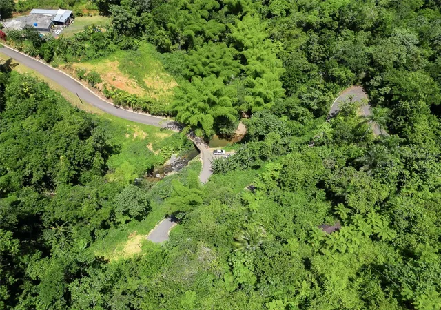Photo 3 of Land for sale at Carretera 124 Km 13 Bo Buena Vista, Las Marias, PR 00670 | MLS# PR9122421 | Listing updated on 2026-06-30