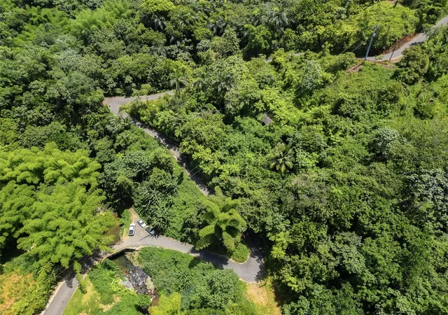 Photo 4 of Land for sale at Carretera 124 Km 13 Bo Buena Vista, Las Marias, PR 00670 | MLS# PR9122421 | Listing updated on 2026-06-30