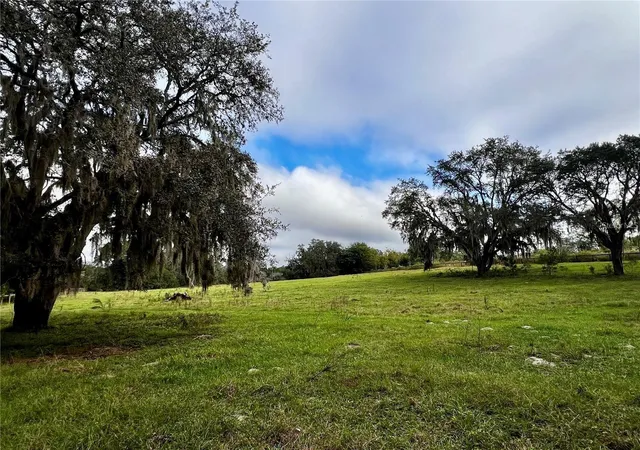 Photo 4 of Land for sale at Micro Racetrack Rd, Fruitland Park, FL 34731 | MLS# S5152749 | Listing updated on 2026-10-06