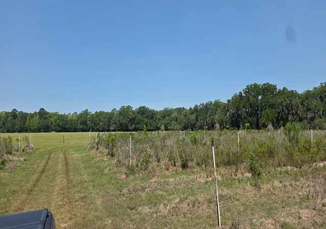 3rd image of 10434 Se 225Th Dr, Hawthorne, FL 32640 | MLS# S5152751