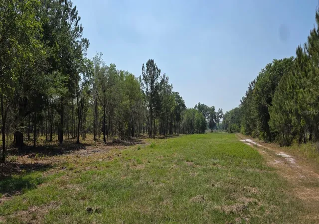 5th image of 10434 Se 225Th Dr, Hawthorne, FL 32640 | MLS# S5152751
