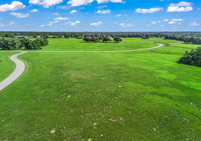 22nd image of 0 Ne 54th Ter, Anthony, FL 32617 | MLS# OM727634