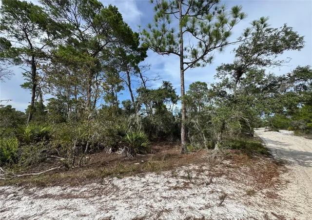 Photo 2 of Land for sale at 2117 Gardenia Ter, Sebring, FL 33875 | MLS# TB8524645 | Listing updated on 2026-08-27