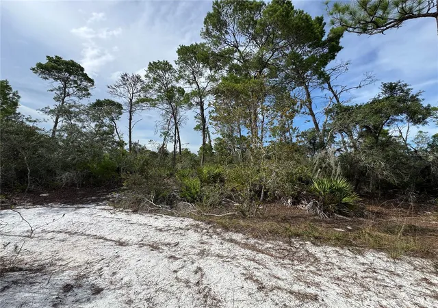 Photo 3 of Land for sale at 2117 Gardenia Ter, Sebring, FL 33875 | MLS# TB8524645 | Listing updated on 2026-08-27