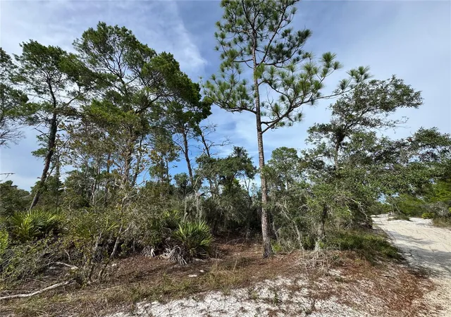 Photo 3 of Land for sale at 2117 Gardenia Ter, Sebring, FL 33875 | MLS# TB8524645 | Listing updated on 2026-08-27