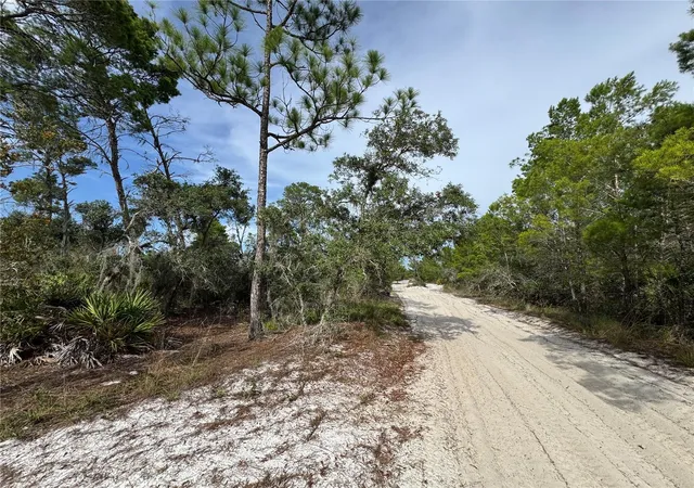 Photo 4 of Land for sale at 2117 Gardenia Ter, Sebring, FL 33875 | MLS# TB8524645 | Listing updated on 2026-08-27
