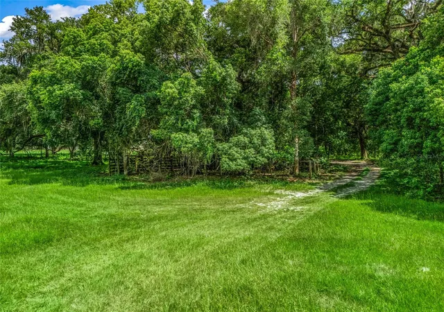 2nd image of 0000 Cr 738 Unassigned, Webster, FL 33597 | MLS# G5114469