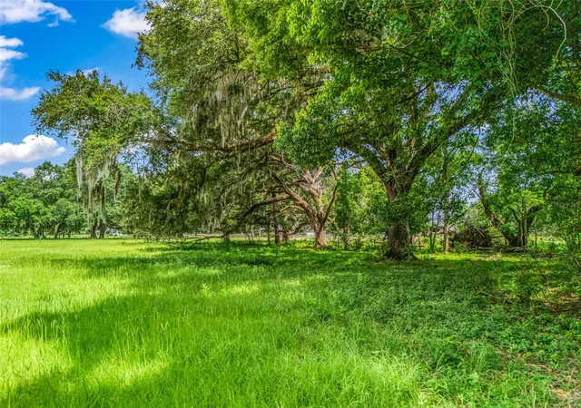 Photo 3 of Land for sale at 0000 Cr 738 Unassigned, Webster, FL 33597 | MLS# G5114469 | Listing updated on 2026-07-02