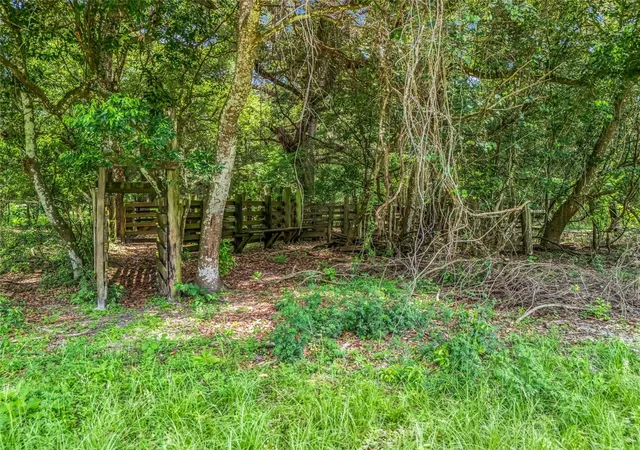 Photo 4 of Land for sale at 0000 Cr 738 Unassigned, Webster, FL 33597 | MLS# G5114469 | Listing updated on 2026-07-02