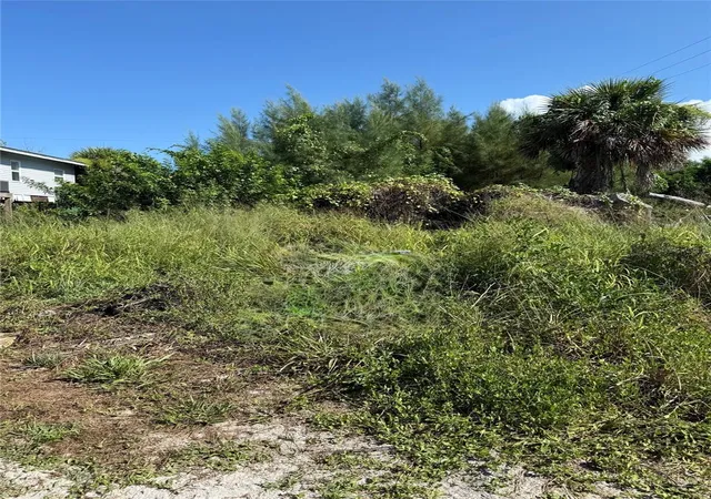 Homes for sale in Placida, FL | 8990 Seagrape Ln, Placida, FL 33946 | MLS# D6147948