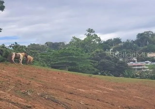Photo 3 of Land for sale at 842 Caimito, San Juan, PR 00926 | MLS# PR9122445 | Listing updated on 2026-07-01