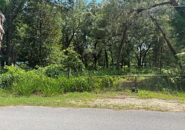 Land for sale at 00 NW 166th Street, TRENTON, FL 32693 | MLS# GC541586
