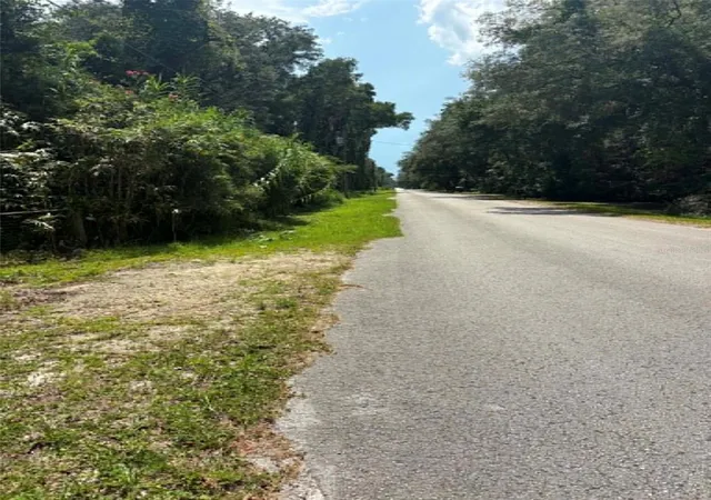 Photo 2 of Land for sale at 00 Nw 166th Street, Trenton, FL 32693 | MLS# GC541586 | Listing updated on 2026-09-15