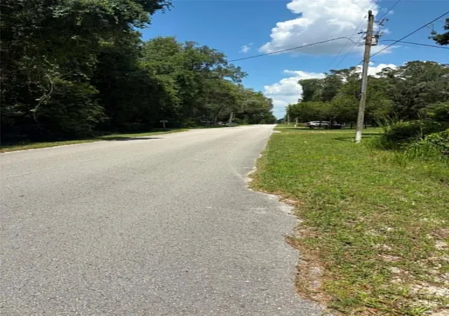 Photo 3 of Land for sale at 00 Nw 166th Street, Trenton, FL 32693 | MLS# GC541586 | Listing updated on 2026-09-15