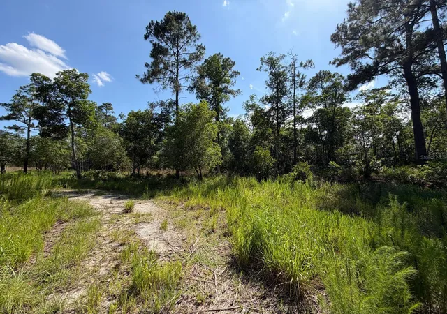 1st image of 1842 Sweetwater Bnd, Deltona, FL 32738 | MLS# O6421252