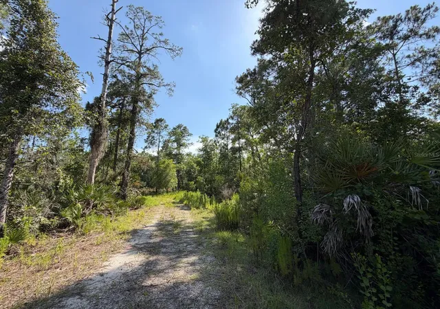 Photo 3 of Land for sale at 1842 Sweetwater Bnd, Deltona, FL 32738 | MLS# O6421252 | Listing updated on 2026-09-02