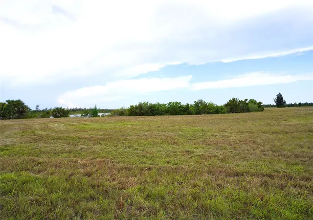 Homes for sale in Placida, FL | 25 Thrush Dr, Placida, FL 33946 | MLS# C7527918