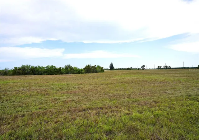 Homes for sale in Placida, FL | 25 Thrush Dr, Placida, FL 33946 | MLS# C7527918