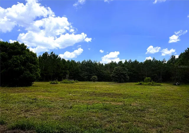 Homes for sale in White Springs, FL | 9970 Se 154Th Ave, White Springs, FL 32096 | MLS# GC541590